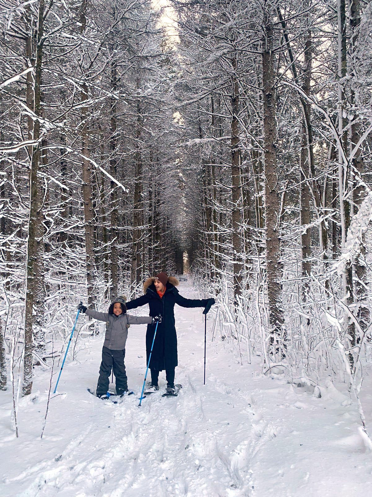 2023 Guide Kingston Sculpture Farm Guide Gemstone Carving African